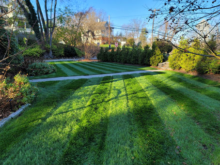 DIY Lawn Care and Town Leadership